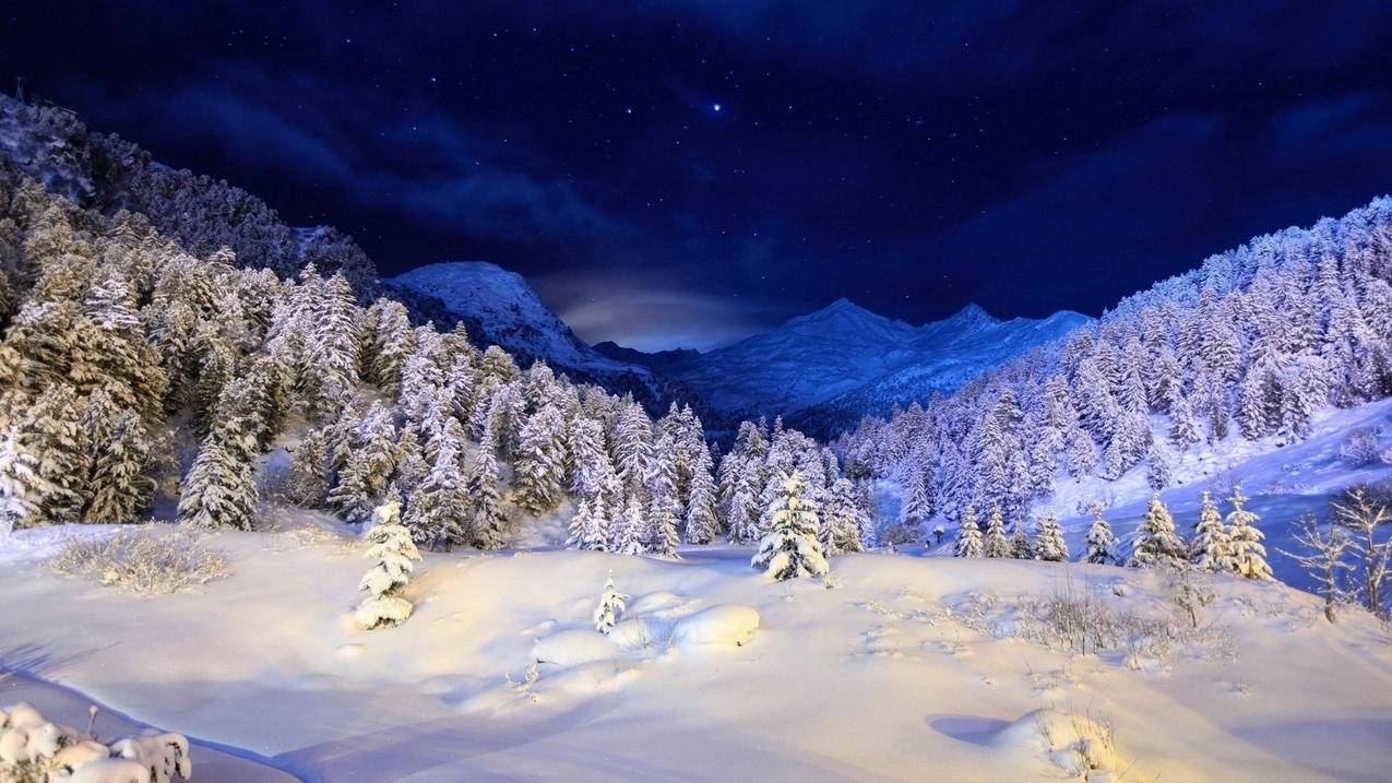 网红商城